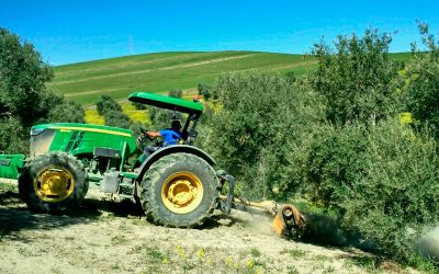 Evaluación de Riesgos en Maquinaria Industrial: Guía Definitiva