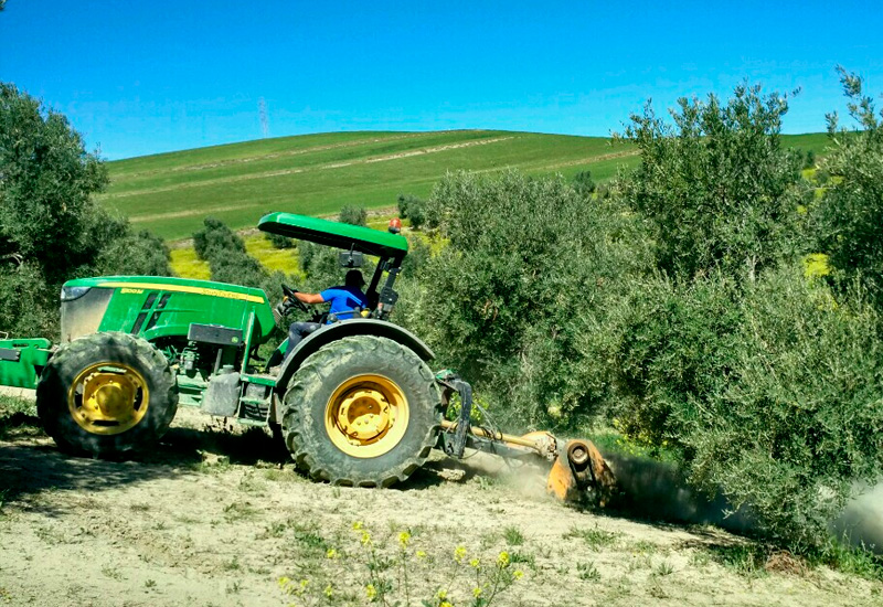 Evaluación de Riesgos en Maquinaria Industrial: Guía Definitiva Evaluación de Riesgos en Maquinaria Industrial: Guía Definitiva