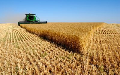 Homologación de cosechadoras de cereales: qué trámite necesitas