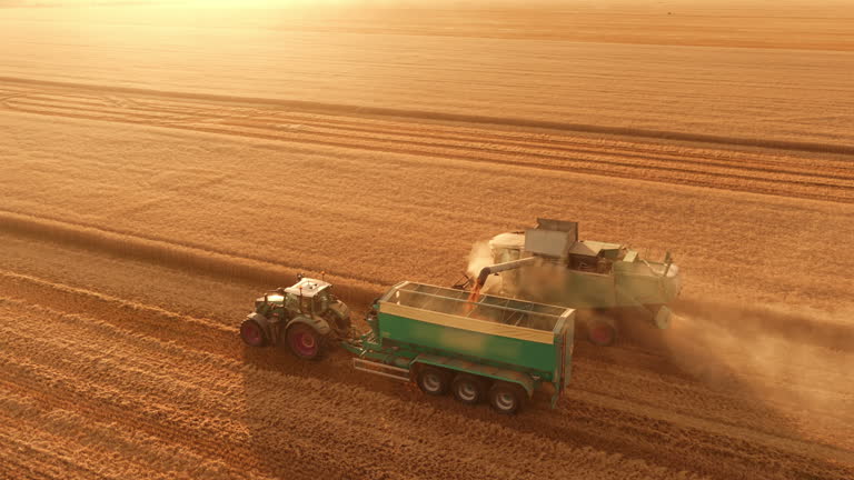 Métricas para evaluar el mercado de maquinaria agrícola