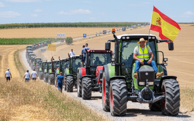 Cómo realizar un estudio de mercado de maquinaria agrícola paso a paso