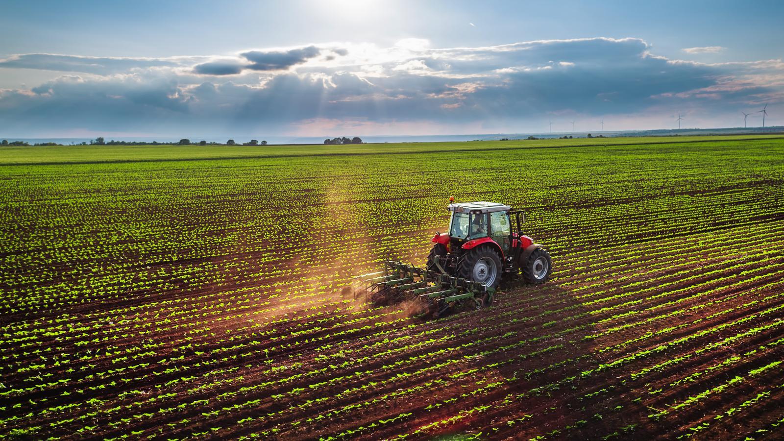 Plan Renove de maquinaria agrícola: impacto real en las ventas del sector Plan Renove de maquinaria agrícola: impacto real en las ventas del sector