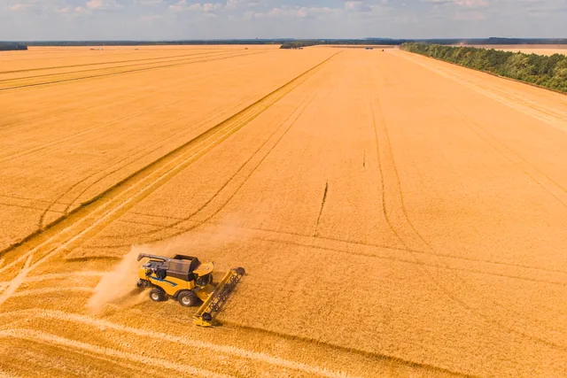 Vista aérea de una cosechadora en un campo de cereal del sector agrícola Vista aérea de una cosechadora en un campo de cereal del sector agrícola